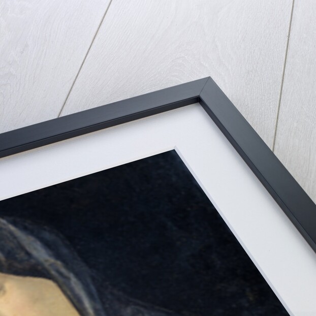 Virgin with Standing Blessing Child, 1470-1480 by Giovanni Bellini