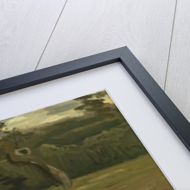 Peasant woman, harvesting potatoes, 1885 by Vincent van Gogh
