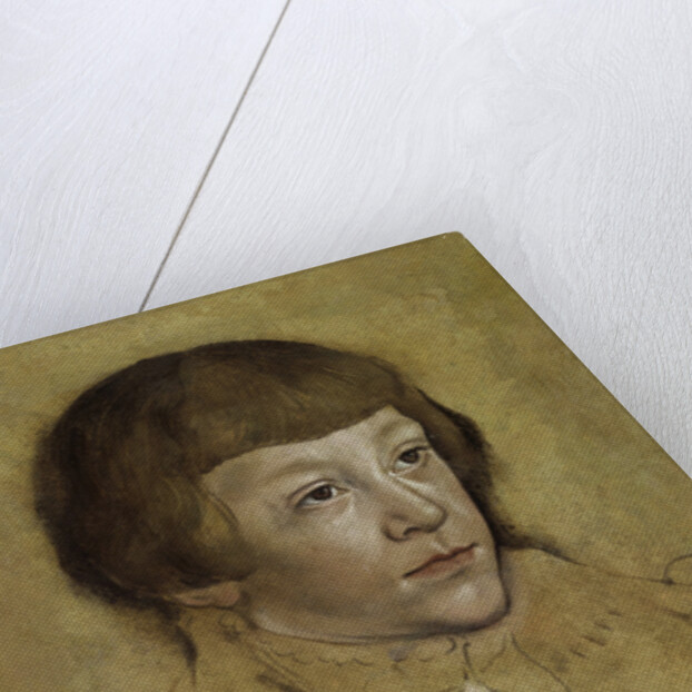 Portrait of a Prince of Saxony, 1530-1540 by Lucas Cranach the Elder