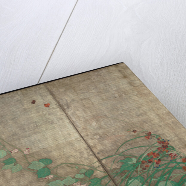 Summer and autumn flower plants. (Part of the pair of two-fold screens) by Sakai Hoitsu