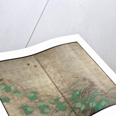 Summer and autumn flower plants. (Part of the pair of two-fold screens) by Sakai Hoitsu