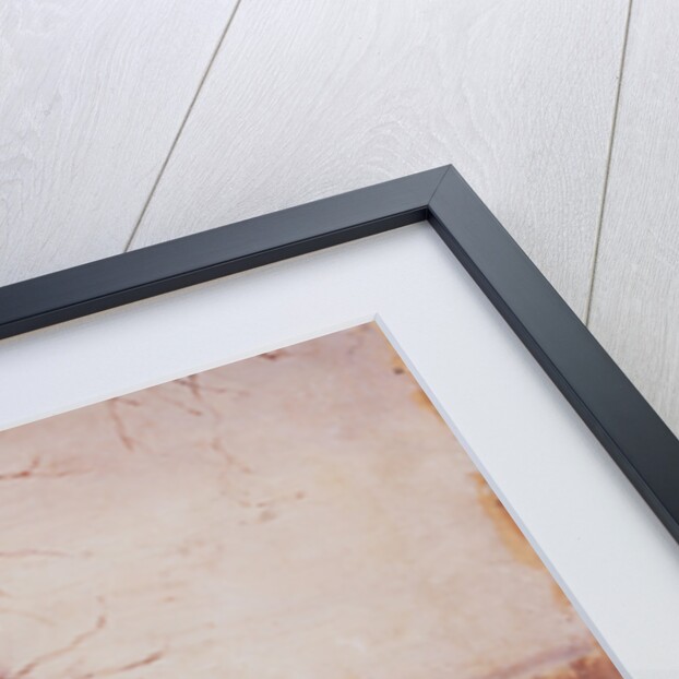 Spring landscape, 1888 by Sophia Petrovna Kuvshinnikova