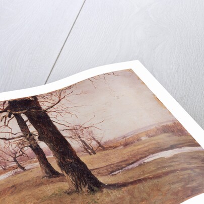 Spring landscape, 1888 by Sophia Petrovna Kuvshinnikova