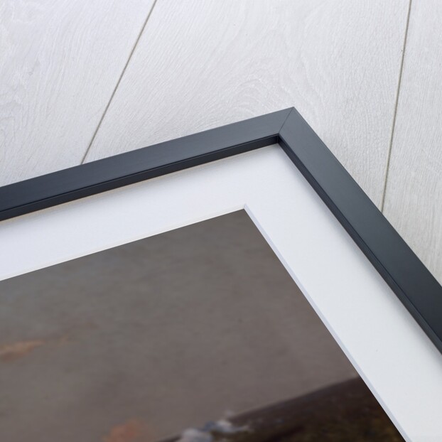 A train on the way, 1890s by Isaak Ilyich Levitan