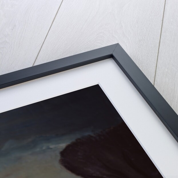 A parachutist, 1932 by Alexander Davidovich Drevin