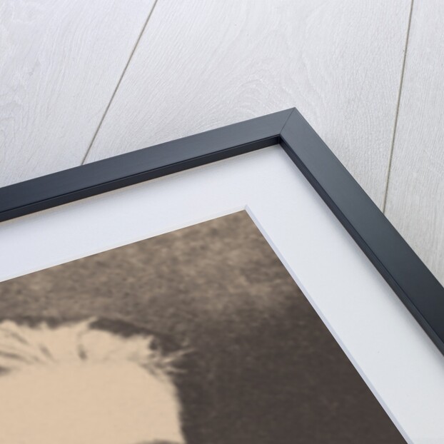 Jorge Luis Borges by Anonymous