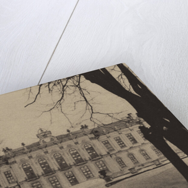 The Agricultural Academy in Petrovsko-Razumovskoye by Anonymous