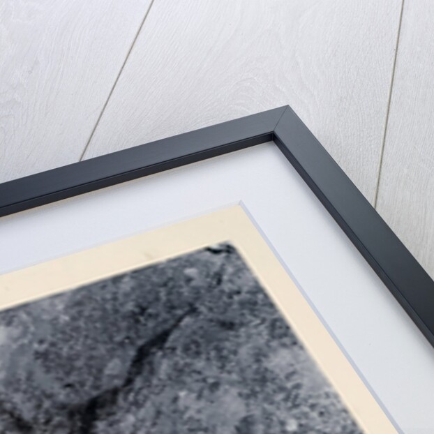 August Strindberg by Johan Lundgren