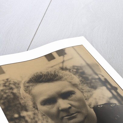 Portrait of Marie Curie by Anonymous