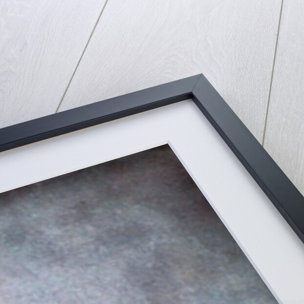 Immanuel Nobel, the younger by Anonymous