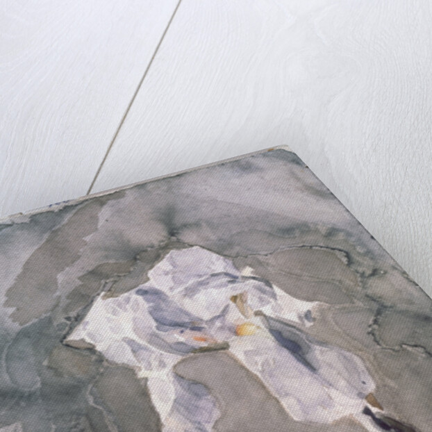 White iris by Mikhail Alexandrovich Vrubel