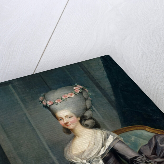 Portrait of Marie Louise of Savoy, Princess of Lamballe by Antoine-François Callet
