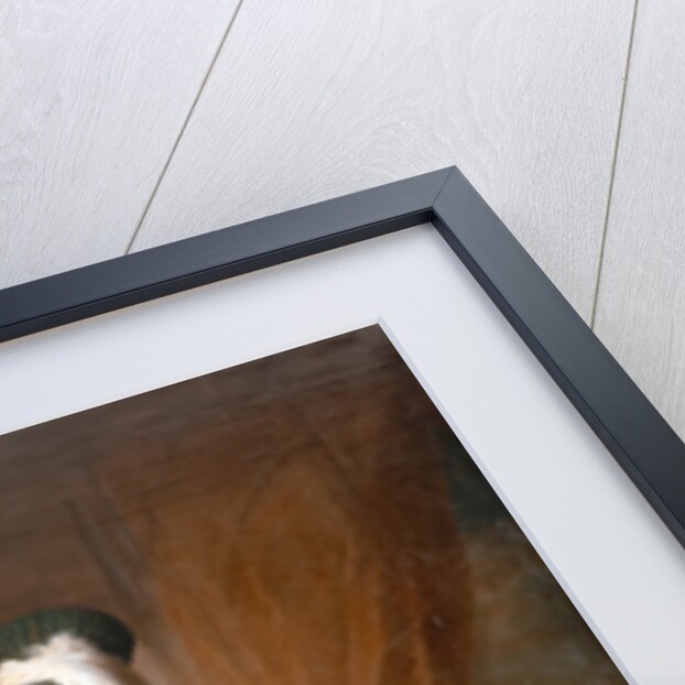 Portrait of Mehemet Said Pacha, Bey of Rumelia, special ambassador of the ottoman Sultan Mahmoud I i by Jacques-Andrè Joseph Aved