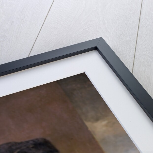 Portrait of the author Bernard le Bovier de Fontenelle by Louis Galloche