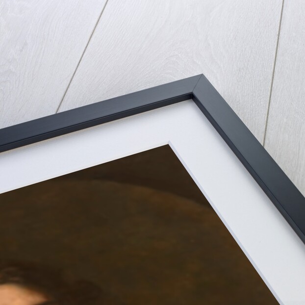 Portrait of Pierre Bayle by Louis Ferdinand Elle the Younger