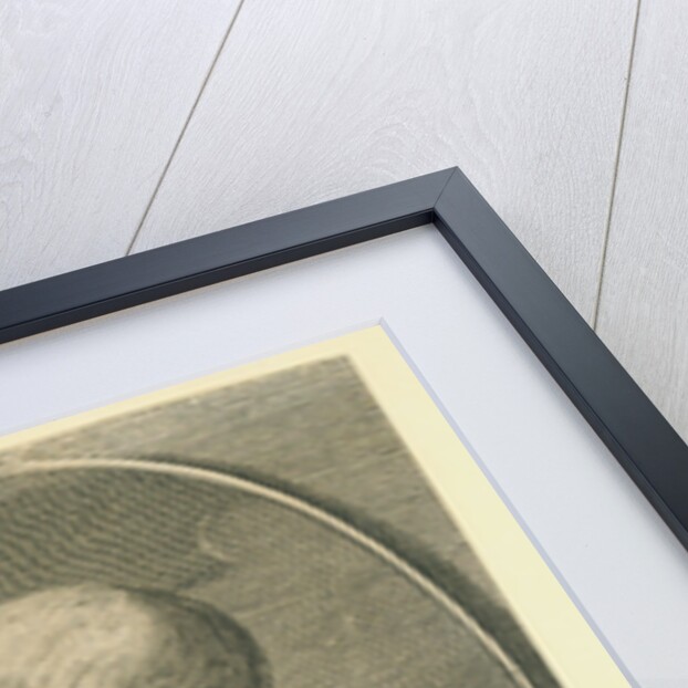 Hetman Danylo Apostol by Martin Bernigeroth