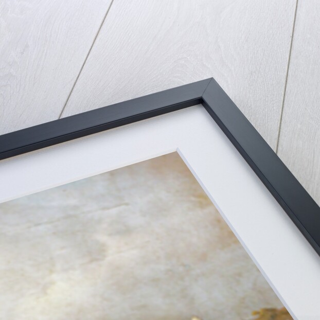 Sunday Stroll by Carl Spitzweg