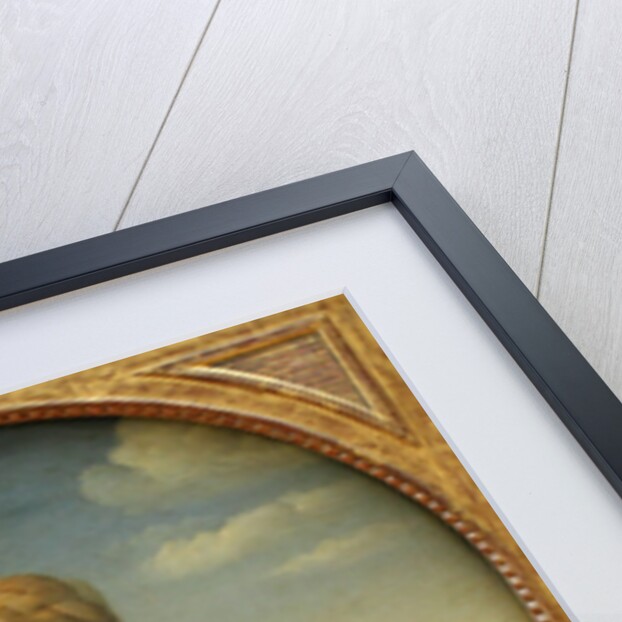 Madonna and Child with Saint John the Baptist (La belle jardinière) by Raphael