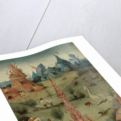 The Creation by Hieronymus Bosch
