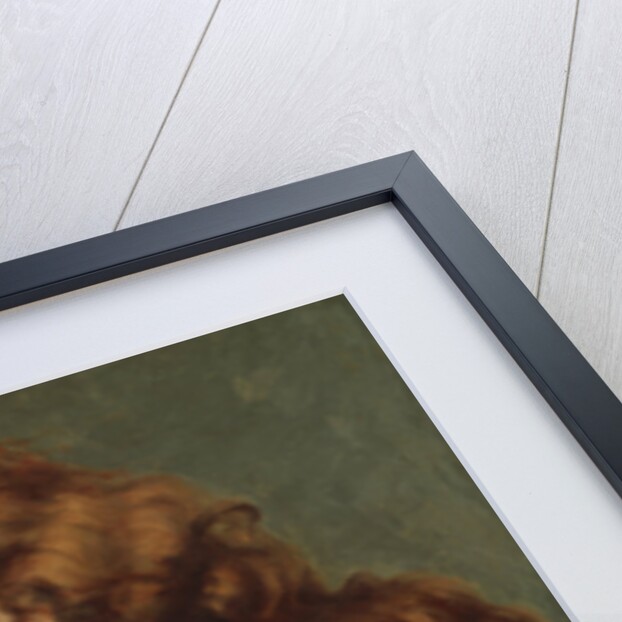 La Belle Irlandaise by Gustave Courbet