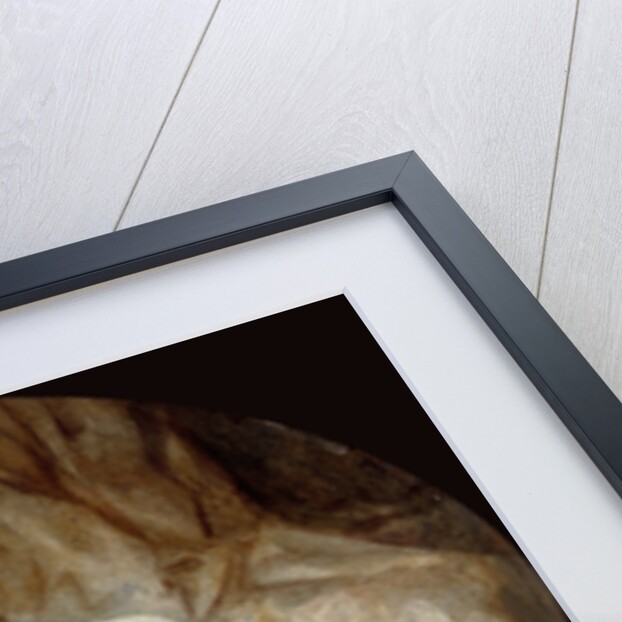 La Chemise enlevée (The Shirt Removed) by Jean Honoré Fragonard