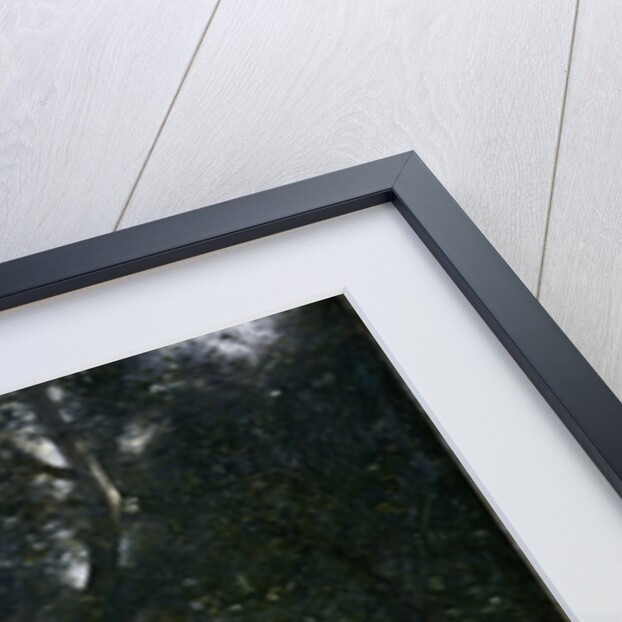 Le Concert Champêtre (Woodland Music-makers) by Jean-Baptiste Camille Corot