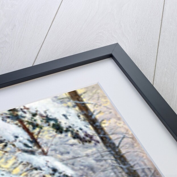 Winter Forest by Konstantin Yakovlevich Kryzhitsky