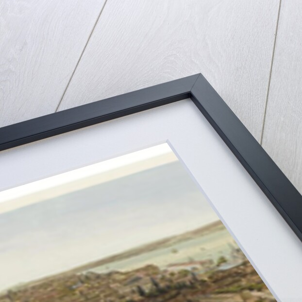 Panorama of Constantinople by Henry Aston Barker