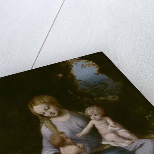 Virgin and child with John the Baptist as a Boy by Correggio