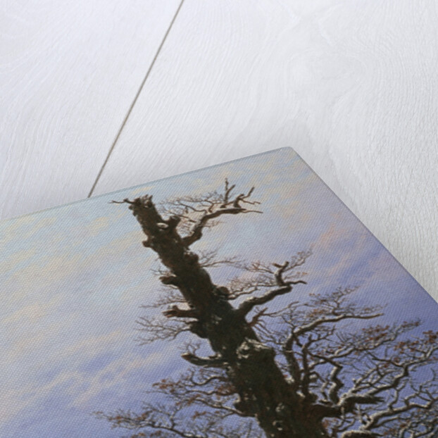 Oak Tree in the Snow by Caspar David Friedrich