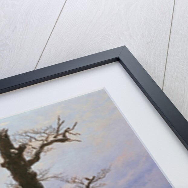 Oak Tree in the Snow by Caspar David Friedrich