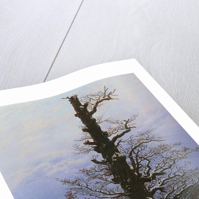 Oak Tree in the Snow by Caspar David Friedrich