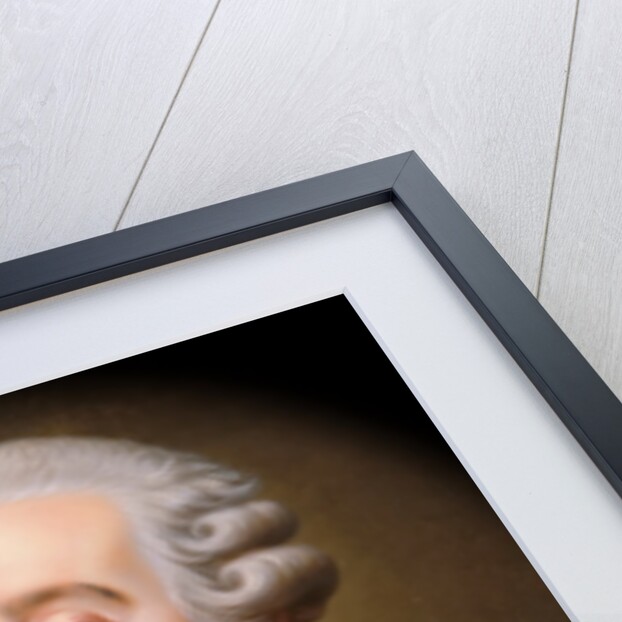 Portrait of the King Louis XVI by Antoine-François Callet