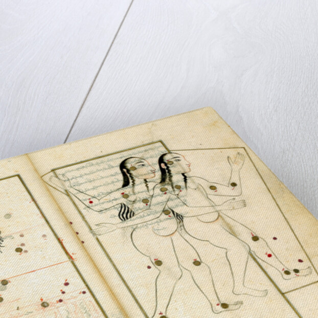 The Constellation Gemini by Iranian master