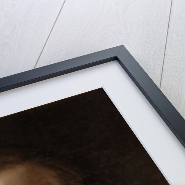 Portrait of the Architect Ivan Gornostayev by Stepan De Ladvez