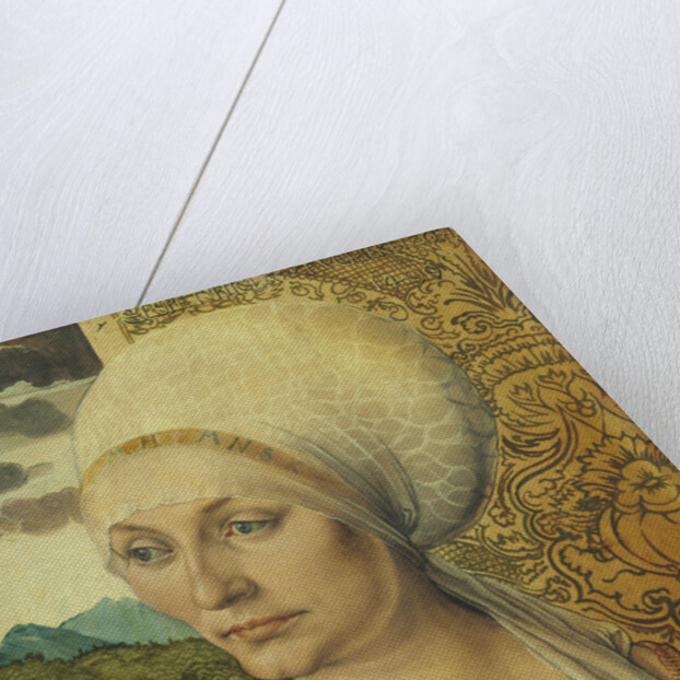 Portrait of Elsbeth Tucher by Albrecht Dürer