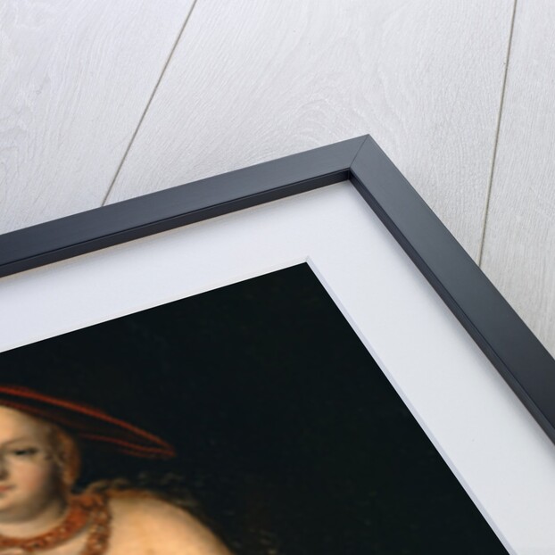 Venus by Lucas Cranach the Elder