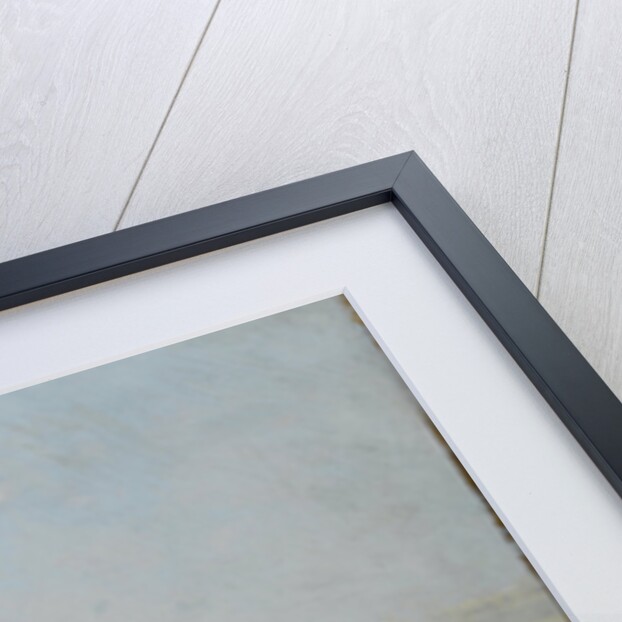 Istanbul by Ali Riza Hoca