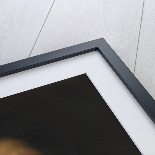 Self-Portrait by Francisco de Goya