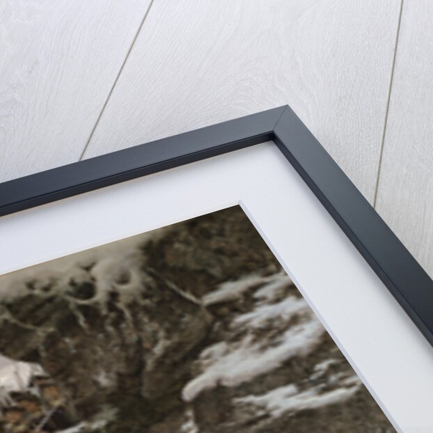 Bringing Home the Body of King Charles XII of Sweden by Gustaf Cederström