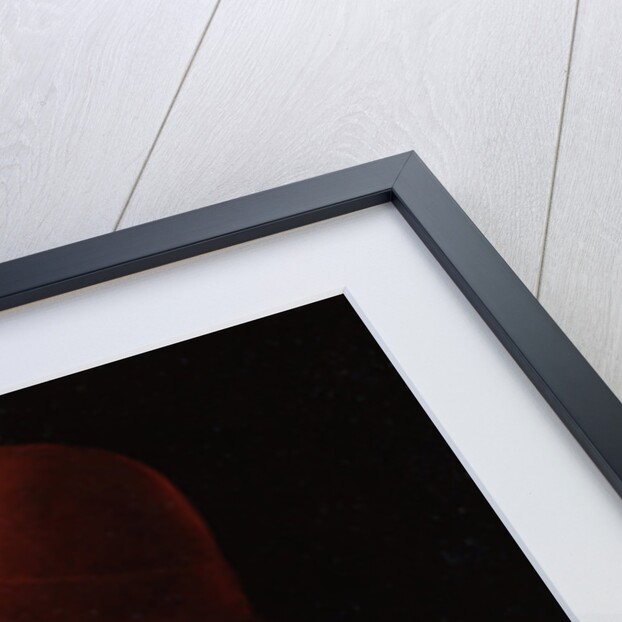 Portrait of Giovanni Francesco Brivio by Vincenzo Foppa