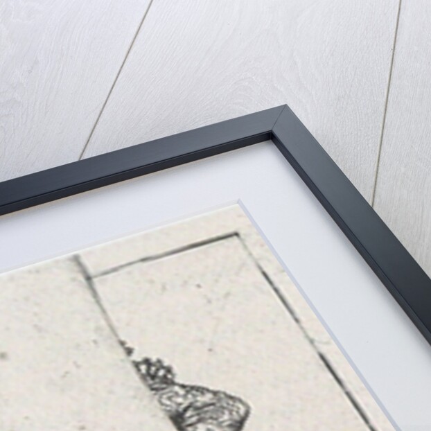 Venetian Courtesan, From: Diversarum nationum habitus by Pietro Bertelli