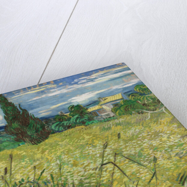 Green Wheat Field with Cypress by Vincent van Gogh