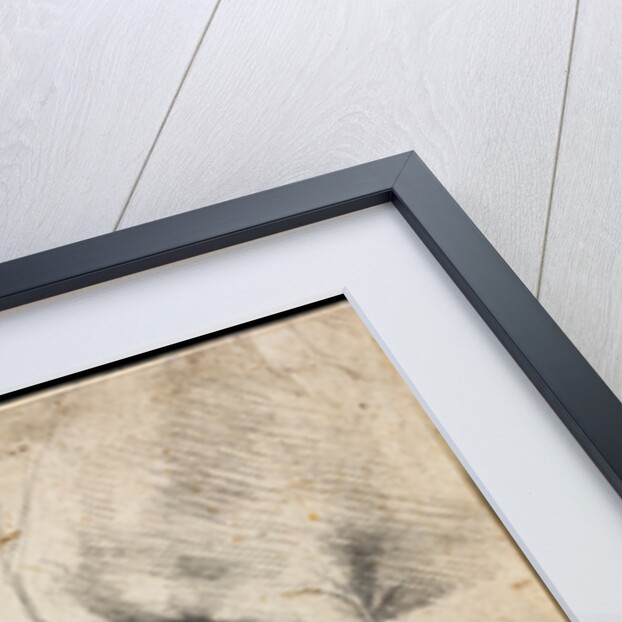 Studies of Horses Leg by Leonardo da Vinci