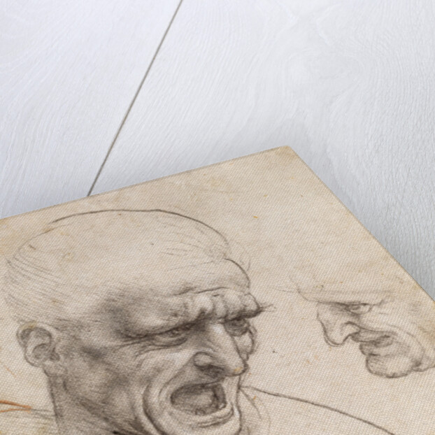Study of Two Warriors Heads for the Battle of Anghiari by Leonardo da Vinci