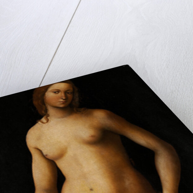 Venus by Lorenzo Costa