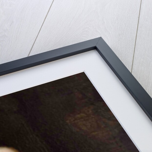 Nikolaus I, Prince Esterházy in the uniform of his Hungarian Infantry Regiment No. 33 by Martin Knoller