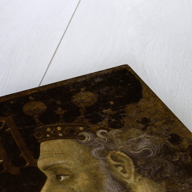 Alfonso V, King of Aragon by Jaume Mateu