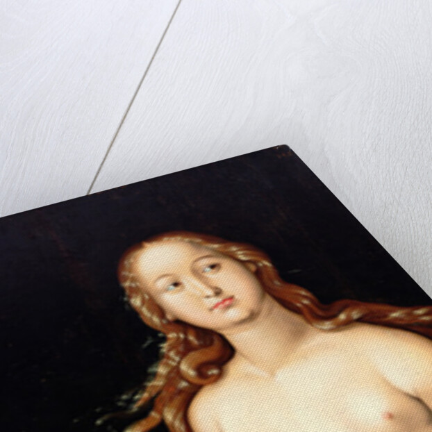 Venus and Amor by Hans Baldung