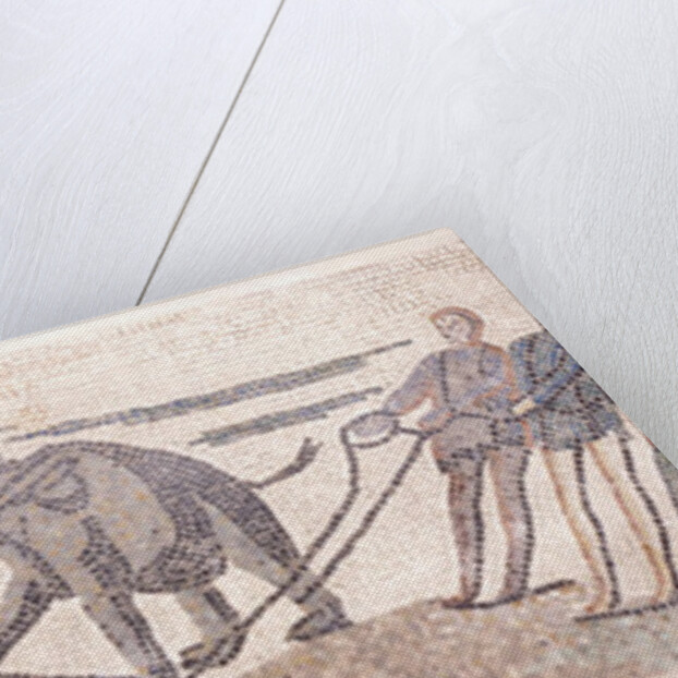 Boarding an elephant on a ship by Classical Antiquities